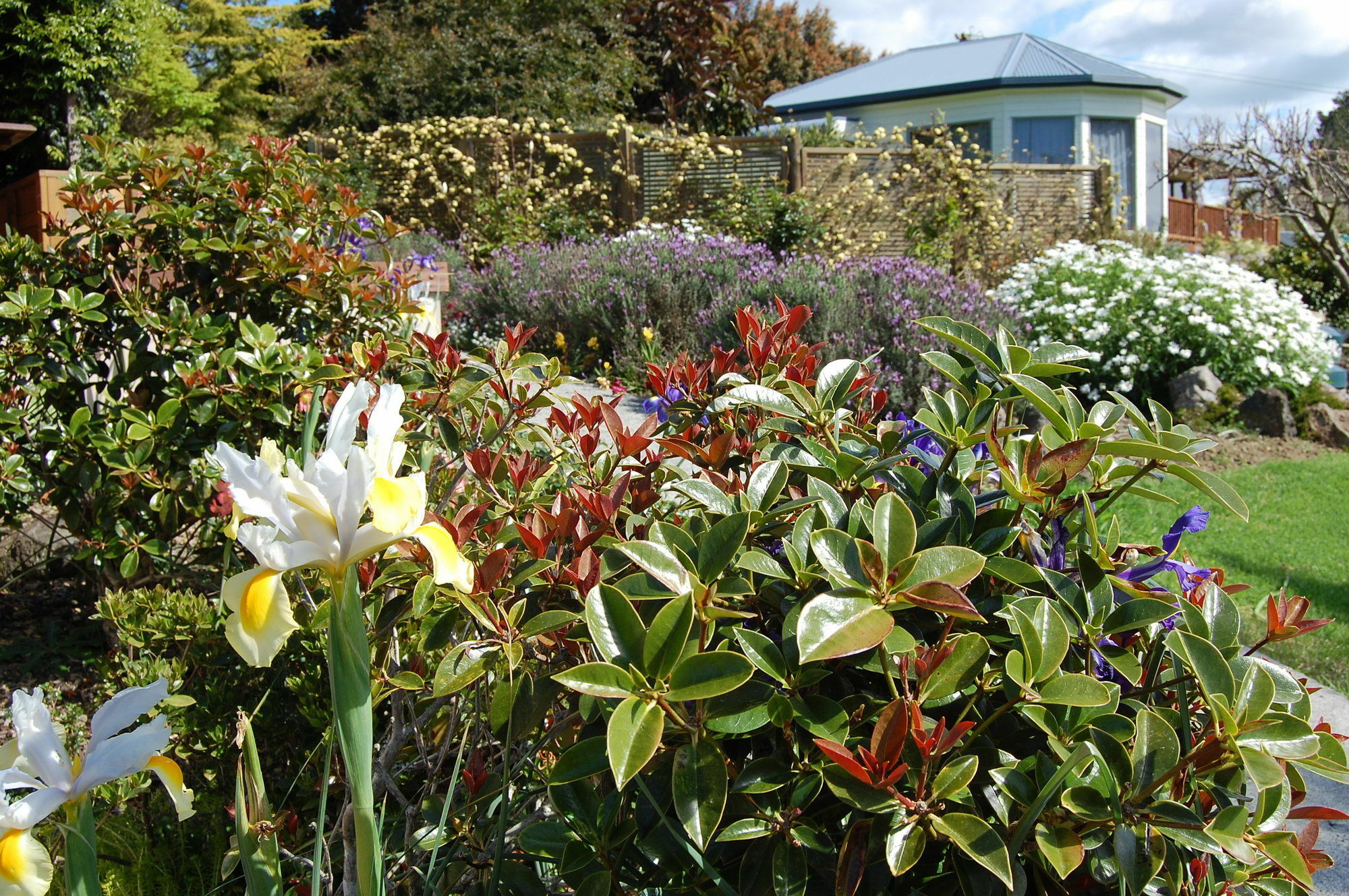 Te Awa Lodge Paihia Bagian luar foto