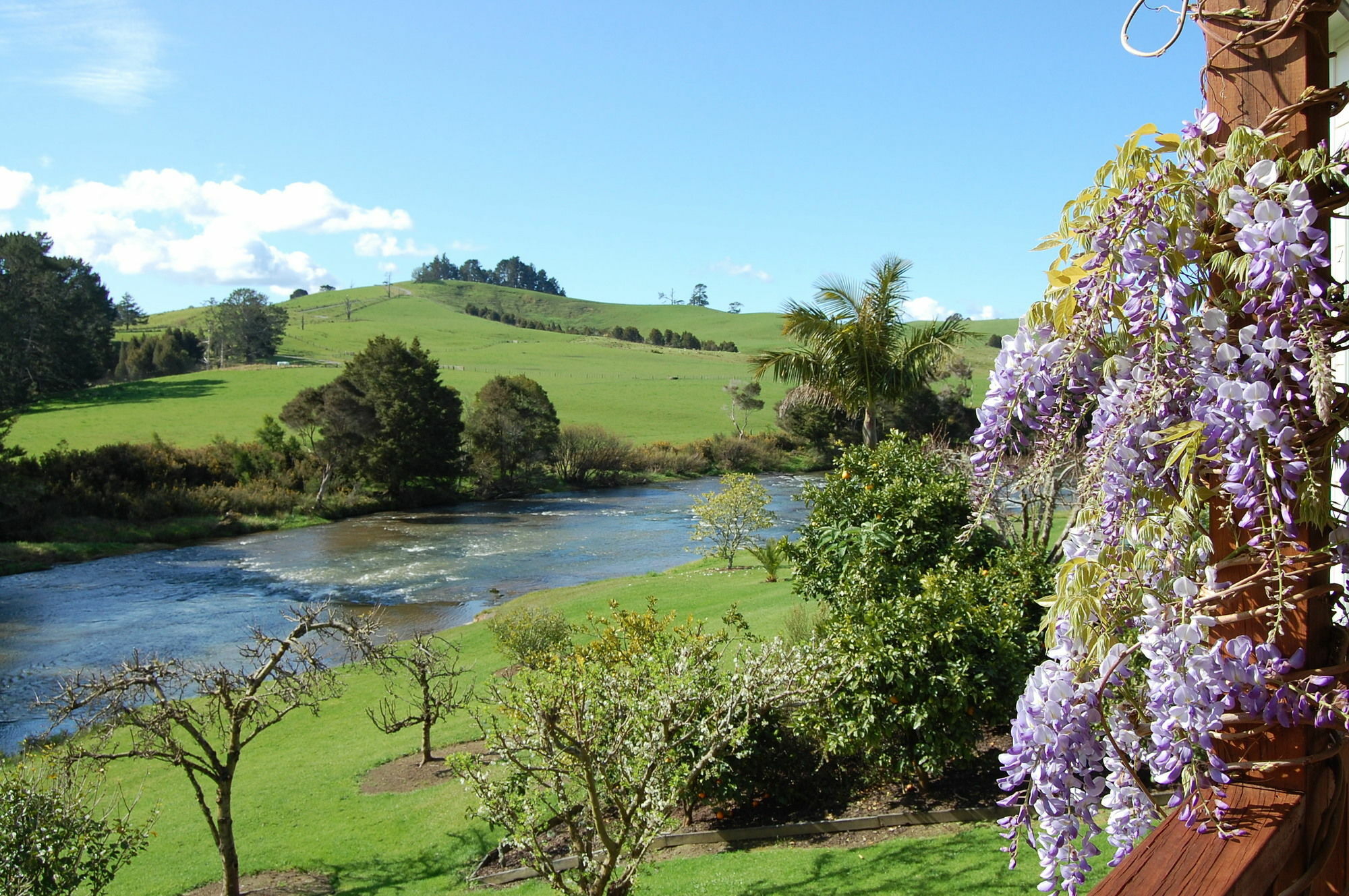 Te Awa Lodge Paihia Bagian luar foto