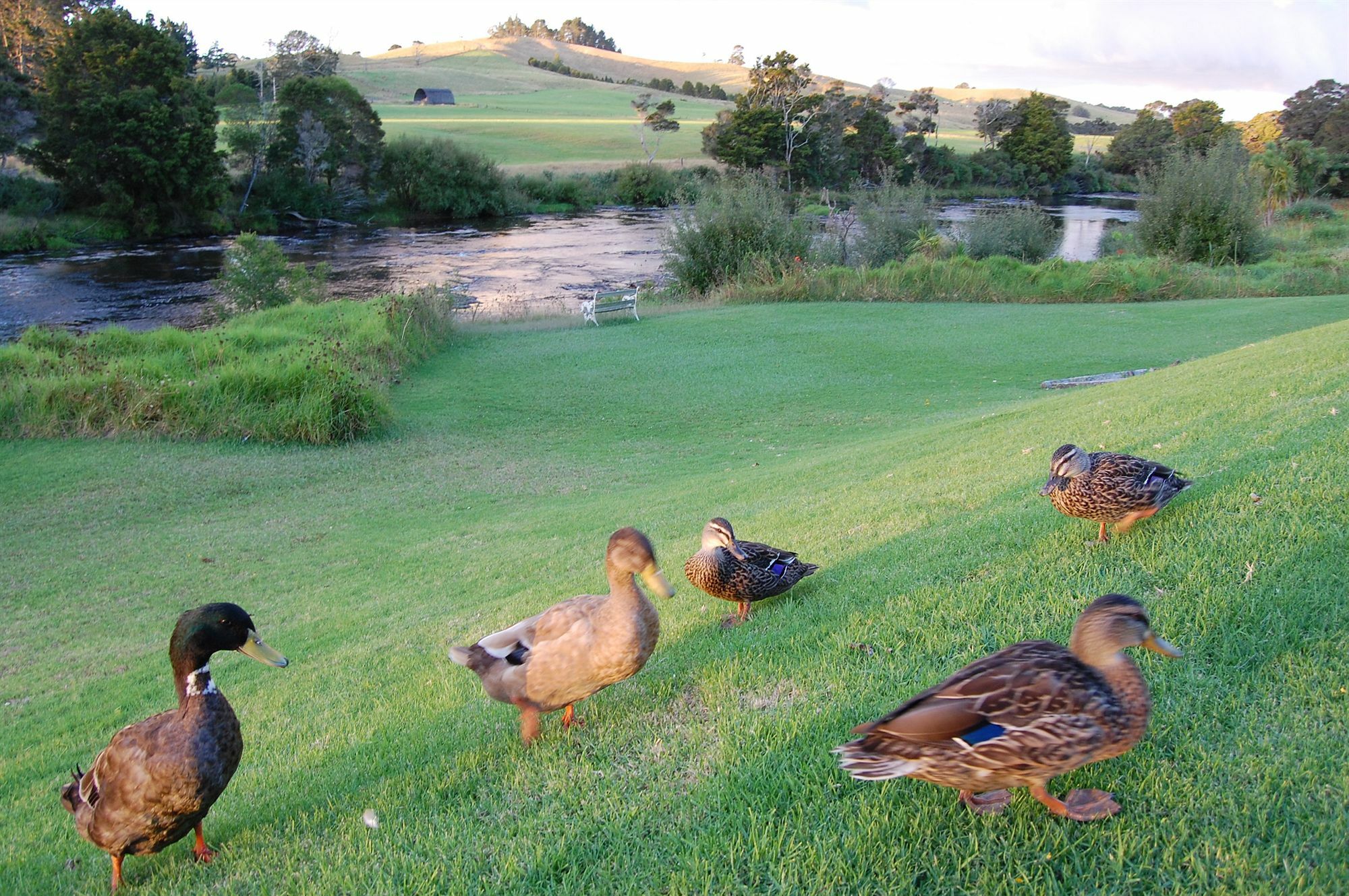 Te Awa Lodge Paihia Bagian luar foto