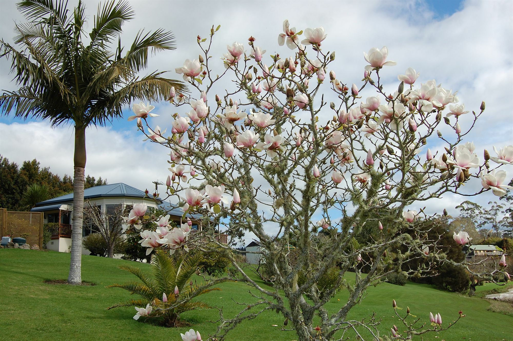 Te Awa Lodge Paihia Bagian luar foto